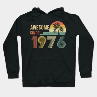 46 Years Old Awesome Since 1976 Gifts 46th Birthday Gift Hoodie